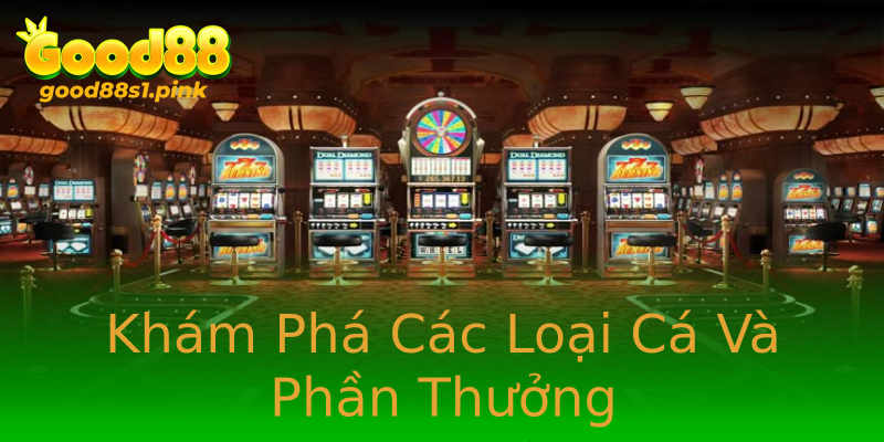 Khám Phá Các Loại Cá Và Phần Thưởng Khám Phá Các Loại Cá Và Phần Thưởng