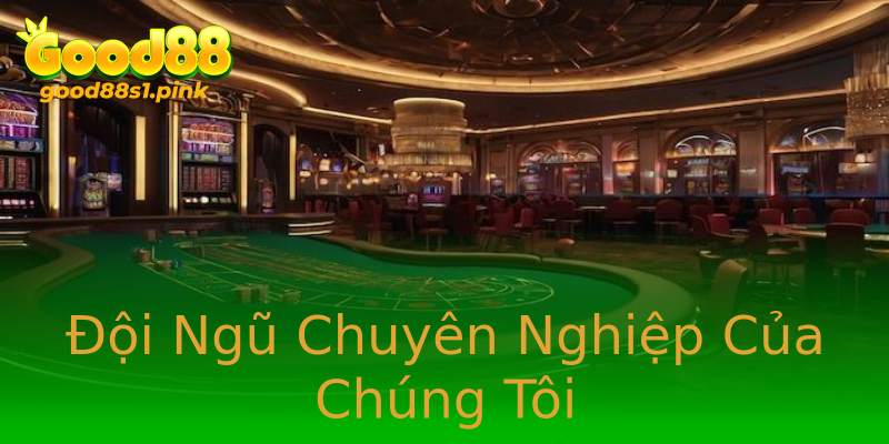 Đội Ngũ Chuyên Nghiệp Của Chúng Tôi Đội Ngũ Chuyên Nghiệp Của Chúng Tôi
