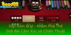 Xap Xam La Gi Kham Pha The Gioi Bai Cam Xuc Va Chien Thuat